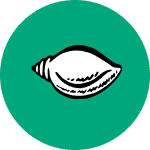 Biju Janata Dal