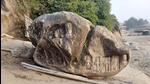 Archaeologists find ‘Gupta-age’ carvings on hillock in Bhagalpur Archaeologists find ‘Gupta-age’ carvings on hillock in Bhagalpur