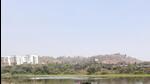 Activists raise alarm over illegal chesnut farming in Nerul wetland Activists raise alarm over illegal chesnut farming in Nerul wetland