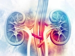 Acute kidney failure vs chronic kidney failure: Treatment, tips to keep kidney problems at bay (HT_PRINT) Acute kidney failure vs chronic kidney failure: Treatment, tips to keep kidney problems at bay (HT_PRINT)