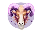 Taurus Daily Horoscope Today for April 1, 2023 While prosperity will be showered on Aries natives today, the professional front may not be that great. Taurus Daily Horoscope Today for April 1, 2023 While prosperity will be showered on Aries natives today, the professional front may not be that great.