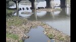 The dissolved oxygen (DO) level in Pune’s Mula, Mula-Mutha, and Mutha rivers is below expected standards, according to the central environmental watchdog Central Pollution Control Board (CPCB). (HT FILE PHOTO) The dissolved oxygen (DO) level in Pune’s Mula, Mula-Mutha, and Mutha rivers is below expected standards, according to the central environmental watchdog Central Pollution Control Board (CPCB). (HT FILE PHOTO)