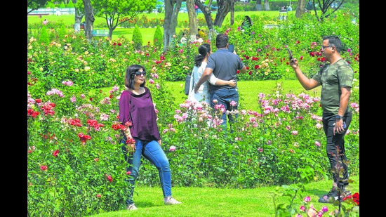 Probability of heatwaves during April will be low and higher from May to June, but rainfall in April may be above normal. (Keshav Singh/HT) Probability of heatwaves during April will be low and higher from May to June, but rainfall in April may be above normal. (Keshav Singh/HT)