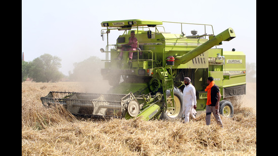 A farmer harvests wheat crop using a combine machine in Bahi Bakhtor village on Bathinda-Mansa road in Punjab,on Thursday. (Sanjeev Kumar/HT) A farmer harvests wheat crop using a combine machine in Bahi Bakhtor village on Bathinda-Mansa road in Punjab,on Thursday. (Sanjeev Kumar/HT)
