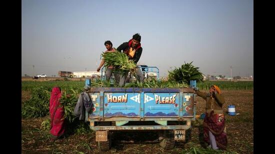 The expo aimed to create a localised, resilient, and robust supply chain for the tractor and implements industry. AMCA president Sunjay Kapur said “The expo’s primary objective was to bring the stakeholders in the tractor and farm implements sector together in order to facilitate a strong, localised, and robust supply chain.” (HT File Photo) The expo aimed to create a localised, resilient, and robust supply chain for the tractor and implements industry. AMCA president Sunjay Kapur said “The expo’s primary objective was to bring the stakeholders in the tractor and farm implements sector together in order to facilitate a strong, localised, and robust supply chain.” (HT File Photo)