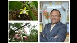 Abbareddy Nageswara Rao and two of the endemic species he discovered: (From top) The Thrixspermum indicum, which grows on other plants; and the Cymbidium henbungense, which spends most of its life underground. Abbareddy Nageswara Rao and two of the endemic species he discovered: (From top) The Thrixspermum indicum, which grows on other plants; and the Cymbidium henbungense, which spends most of its life underground.