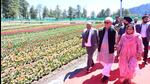 Lieutenant governor (LG) Manoj Sinha at the Tulip Garden in Ramban on Saturday. This is the first tulip garden in the Jammu region. (HT Photo) Lieutenant governor (LG) Manoj Sinha at the Tulip Garden in Ramban on Saturday. This is the first tulip garden in the Jammu region. (HT Photo)