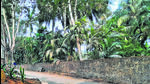 Thane, India - April 08, 2023: In a reply to a petition filed by a social activist from Thane regarding seven bungalows constructed illegally in the Yeoor forest since 2020, the National Green Tribunal (NGT) has asked the Thane Municipal Corporation (TMC), State of Maharashtra and Super Freak Estate Pvt. Ltd. owned by TMC's ex-chairman for education committee, to reply with explanation till May 31 regarding the illegal structures, in Thane, India, on Saturday, April 08, 2023. (Praful Gangurde/HT Photo) (HT PHOTO) Thane, India - April 08, 2023: In a reply to a petition filed by a social activist from Thane regarding seven bungalows constructed illegally in the Yeoor forest since 2020, the National Green Tribunal (NGT) has asked the Thane Municipal Corporation (TMC), State of Maharashtra and Super Freak Estate Pvt. Ltd. owned by TMC's ex-chairman for education committee, to reply with explanation till May 31 regarding the illegal structures, in Thane, India, on Saturday, April 08, 2023. (Praful Gangurde/HT Photo) (HT PHOTO)