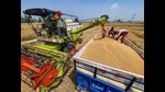 Farmers use a combine harvester in a wheat field during harvesting season in Amritsar on Wednesday. (PTI) Farmers use a combine harvester in a wheat field during harvesting season in Amritsar on Wednesday. (PTI)