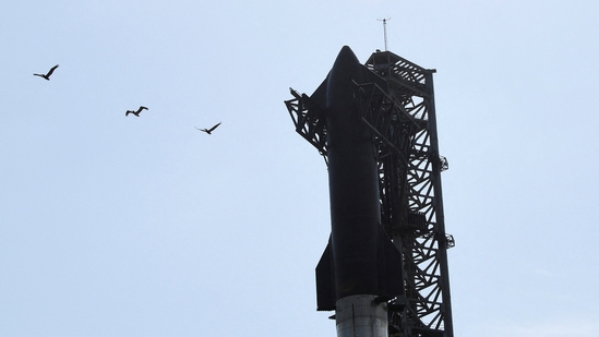 A view of SpaceX's Starship the day before it launches from the Starbase launchpad on an orbital test mission(REUTERS)