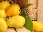 The use of calcium carbide, one of the harmful artificial fruit ripening agents, has been prohibited (File) The use of calcium carbide, one of the harmful artificial fruit ripening agents, has been prohibited (File)
