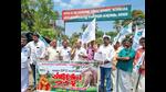 In March, the high court had stayed the forest department’s order to make Arikomban a ‘kumki’ (trainer) elephant after the intervention of animal activists and appointed an expert committee. (HT) In March, the high court had stayed the forest department’s order to make Arikomban a ‘kumki’ (trainer) elephant after the intervention of animal activists and appointed an expert committee. (HT)