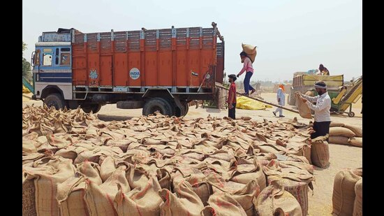 Lifting of wheat going on in one of the grain markets in Ludhiana on Monday. (HT Photo) Lifting of wheat going on in one of the grain markets in Ludhiana on Monday. (HT Photo)