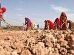 Village women labourers work at construction site (Reuters) Village women labourers work at construction site (Reuters)