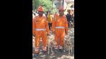 NDRF sniffer dogs at Bhiwandi building collapse site on Sunday (HT PHOTO) NDRF sniffer dogs at Bhiwandi building collapse site on Sunday (HT PHOTO)