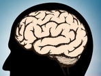 Surge of activity linked to consciousness in dying brain: Study(Shutterstock) Surge of activity linked to consciousness in dying brain: Study(Shutterstock)