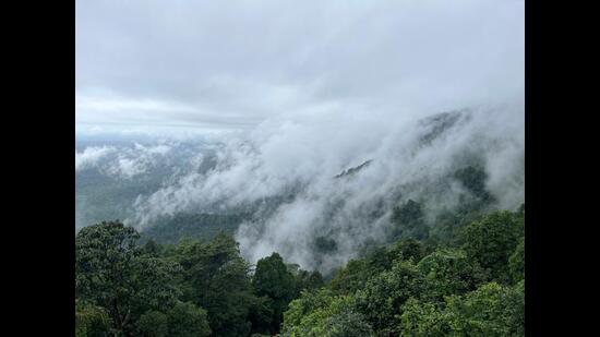 Agumbe National Park (Shutterstock) Agumbe National Park (Shutterstock)