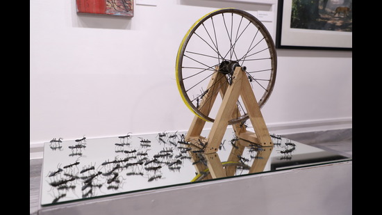 Nooreen Fatma creates a reflection of the endless labour of humans and ants using a mirror. Nooreen Fatma creates a reflection of the endless labour of humans and ants using a mirror.