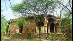 While there has been no development on the conservation front of Malcha Mahal, the hunting lodge continues to attract curious city residents including school and college students, cycling club members, and heritage enthusiasts who hold walks in the area. (Sanjeev Verma/HT PHOTO) While there has been no development on the conservation front of Malcha Mahal, the hunting lodge continues to attract curious city residents including school and college students, cycling club members, and heritage enthusiasts who hold walks in the area. (Sanjeev Verma/HT PHOTO)