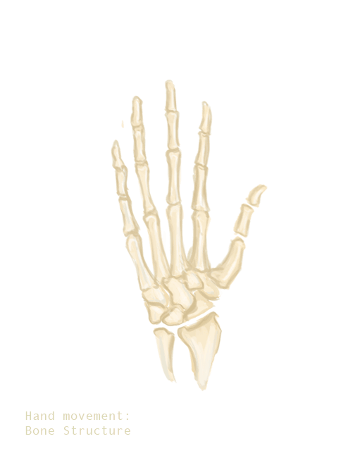 The human hand is a complex structure where all elements work together with precision for dexterity. (Creative Commons Share Alike 4.0 International) The human hand is a complex structure where all elements work together with precision for dexterity. (Creative Commons Share Alike 4.0 International)