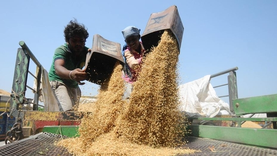 The Union cabinet approved <span class='webrupee'>₹</span>143 hike in paddy MSP to <span class='webrupee'>₹</span>2,183 per quintal for 2023-24. (HT file photo) The Union cabinet approved <span class='webrupee'>₹</span>143 hike in paddy MSP to <span class='webrupee'>₹</span>2,183 per quintal for 2023-24. (HT file photo)