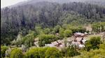 Falling in the Shamshabari mountain range, Kashmir’s Hafruda forests connects Tanghdar, Keran and Nowgam sectors. (HT Photo) Falling in the Shamshabari mountain range, Kashmir’s Hafruda forests connects Tanghdar, Keran and Nowgam sectors. (HT Photo)