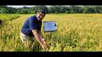 Prof Shravan Kumar Singh of BHU showing newly- developed Malviya Manila Sanchit Dhan-1 rice variety. (sourced) Prof Shravan Kumar Singh of BHU showing newly- developed Malviya Manila Sanchit Dhan-1 rice variety. (sourced)