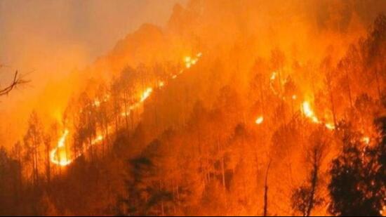 The study has indicated that the concentration of nitrogen witnesses a significant increase during March and April due to wildfires. (Representational photo) The study has indicated that the concentration of nitrogen witnesses a significant increase during March and April due to wildfires. (Representational photo)
