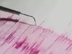 The earthquake struck at a depth of 10 km. (Representative) The earthquake struck at a depth of 10 km. (Representative)