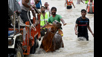 Teams have managed to rescue and relocate approximately 5,974 cattle from various shelter homes located in the affected regions. (Sunil Ghosh/HT Photo) Teams have managed to rescue and relocate approximately 5,974 cattle from various shelter homes located in the affected regions. (Sunil Ghosh/HT Photo)