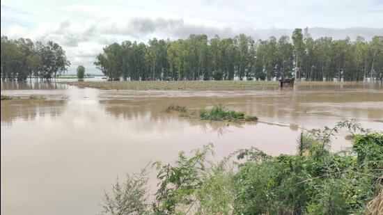 Flooding near Labkari village of Karnal district due to Yamuna river. (HT File) Flooding near Labkari village of Karnal district due to Yamuna river. (HT File)