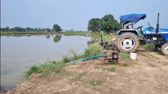 Even as water has receded from most of the affected areas in Haryana, farmers’ woes are far from over as the sand deposited by the floods pose a serious threat to the standing paddy crop, leaving thousands of cultivators of northern districts high and dry. (HT Photo) Even as water has receded from most of the affected areas in Haryana, farmers’ woes are far from over as the sand deposited by the floods pose a serious threat to the standing paddy crop, leaving thousands of cultivators of northern districts high and dry. (HT Photo)