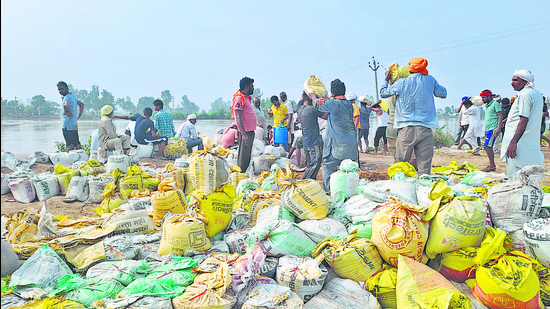 Residents of Banarsi village of Sangrur district led from the front in plugging the breach in the embankment of the Ghaggar. (HT photo) Residents of Banarsi village of Sangrur district led from the front in plugging the breach in the embankment of the Ghaggar. (HT photo)