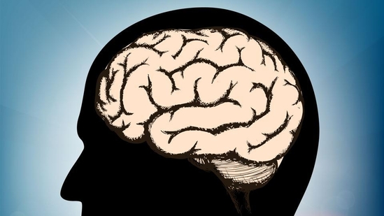 World Brain Day aims to increase public awareness of brain health and disorders to widen access and reduce equity disparities. (Shutterstock) World Brain Day aims to increase public awareness of brain health and disorders to widen access and reduce equity disparities. (Shutterstock)