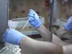 The couple identified the body as their son because of the clothes he was wearing, but the police insisted on a DNA test. (Representational image) The couple identified the body as their son because of the clothes he was wearing, but the police insisted on a DNA test. (Representational image)