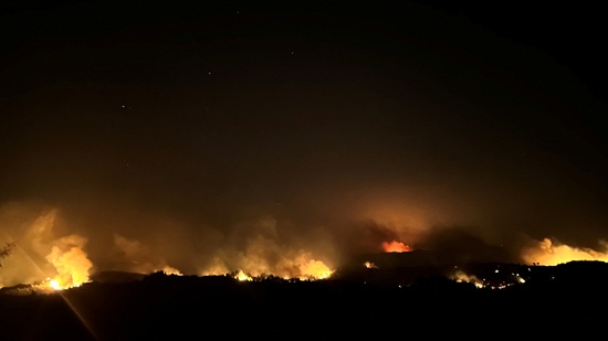 Rhodes Wildfires: Wildfires burn forests in Rhodes, Greece.(Reuters)