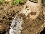 The deceased has been identified as Jagdeesh (65), police said, adding that action will be initiated when a complaint is received. (File) The deceased has been identified as Jagdeesh (65), police said, adding that action will be initiated when a complaint is received. (File)