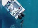 Florida fisherman captures shark attack off Palm Beach coast during Shark Week. Bull shark strikes boat 8 times, causes damage.(BlacktipH ) Florida fisherman captures shark attack off Palm Beach coast during Shark Week. Bull shark strikes boat 8 times, causes damage.(BlacktipH )