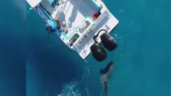 Florida fisherman captures shark attack off Palm Beach coast during Shark Week. Bull shark strikes boat 8 times, causes damage.(BlacktipH ) Florida fisherman captures shark attack off Palm Beach coast during Shark Week. Bull shark strikes boat 8 times, causes damage.(BlacktipH )