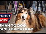 Japanese Man spends $14,000 to fulfill dream of transforming into ‘Human Dog’ Japanese Man spends $14,000 to fulfill dream of transforming into ‘Human Dog’