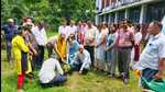 “Tree Man” Rahul Mahajan provided a batch of 30 fruit trees. (HT Photo) “Tree Man” Rahul Mahajan provided a batch of 30 fruit trees. (HT Photo)