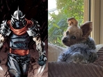 Shredder from TMNT and Klein's best friend of Ethan Klein Shredder from TMNT and Klein's best friend of Ethan Klein