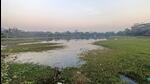 A file photo of Lotus Lake in Sector 27, Nerul in Navi Mumbai, India. (Bachchan Kumar/ HT PHOTO) A file photo of Lotus Lake in Sector 27, Nerul in Navi Mumbai, India. (Bachchan Kumar/ HT PHOTO)