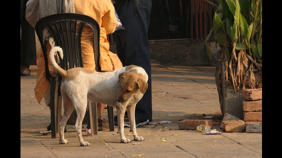A point to ponder: Why is the conflict mostly in urban areas? (Prerna Jain) A point to ponder: Why is the conflict mostly in urban areas? (Prerna Jain)