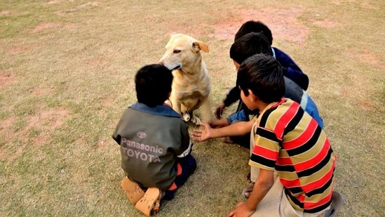 Friends furrever (Prerna Jain) Friends furrever (Prerna Jain)