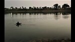 Ashok Kumar catching fish in Tons river (HT Photo) Ashok Kumar catching fish in Tons river (HT Photo)