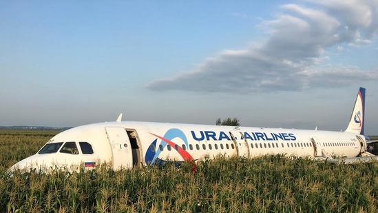 Russian media carried footage of a plane sitting in a field with no visible sign of damage. (File) (Representational Image)(Reuters) Russian media carried footage of a plane sitting in a field with no visible sign of damage. (File) (Representational Image)(Reuters)