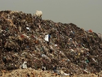 Delhi generates 11,332 tonne of solid waste every day, according to an MCD estimate, of which 4,360 tonne ends up at the city’s three landfill sites. (HT Photo) Delhi generates 11,332 tonne of solid waste every day, according to an MCD estimate, of which 4,360 tonne ends up at the city’s three landfill sites. (HT Photo)