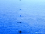Kalveri, Shishumar and Sindhugosh class of Indian Navy patrolling in Indian Ocean. Kalveri, Shishumar and Sindhugosh class of Indian Navy patrolling in Indian Ocean.