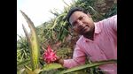 Farmers showing their yield in their farms (HT Photo) Farmers showing their yield in their farms (HT Photo)